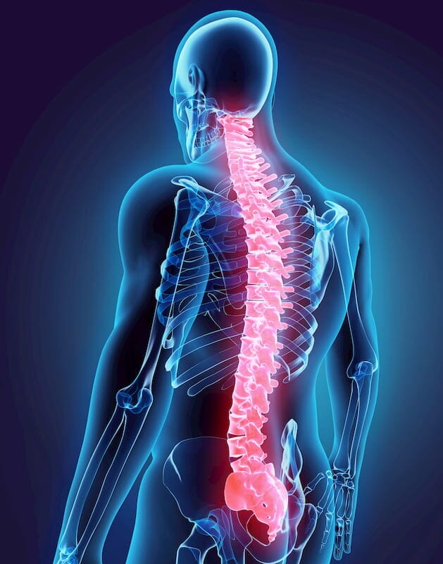 AdobeStock_110032972 AdobeStock_110032972